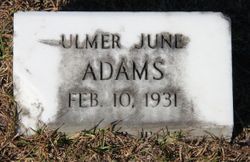 Ulmer June Adams 