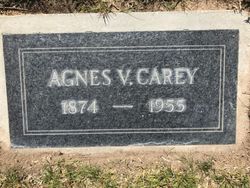 Agnes V Carey 
