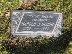 Harold John Bloom 