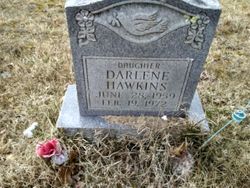 Darlene Hawkins 