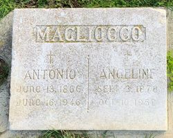 Angeline Magliocco 