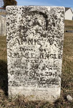 Annie Virginia Angle 
