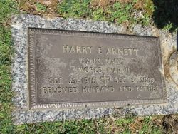 Harry Edwin Arnett 