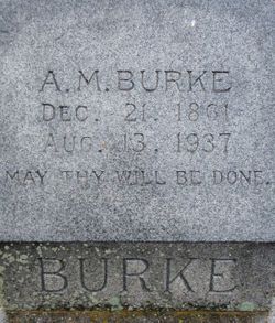 Albert Marion Burke 