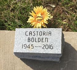 Castoria T Bolden 