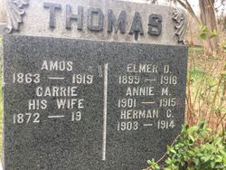 Annie M Thomas 
