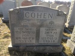 Joseph Cohen 