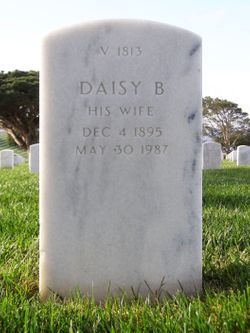 Daisy B Pointer 