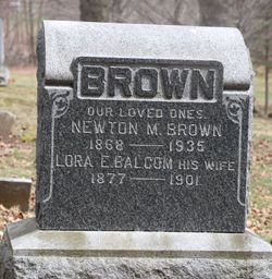 Newton Mann Brown 