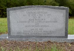 Sheppard Brinson 
