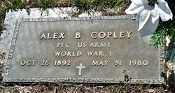 Alex B Copley 
