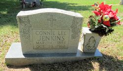 Connie Odel <I>Lee</I> Jenkins 