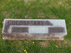 Nellie D <I>Anderson</I> Goldsberry 
