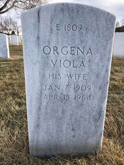 Orgena Viola <I>Baumann</I> Gage 