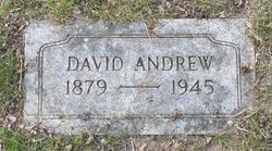 David Andrew 