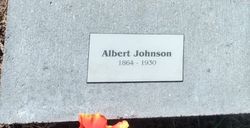 Albert Alexander Johnson 