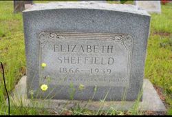 Martha Elizabeth “Lizzie” <I>Hawthorne</I> Sheffield 