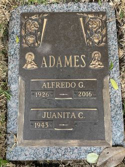Alfredo G Adames 