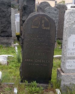 Anna Chesler 