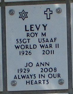 Roy M Levy 