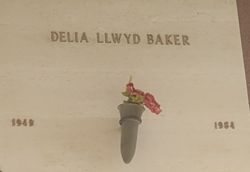 Delia Ann “DeeDee” <I>Llwyd</I> Baker 