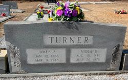 Viola <I>Buffington</I> Turner 