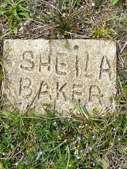Sheila Baker 
