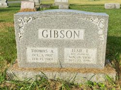 Thomas A Gibson 