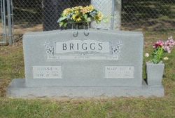 Mary Sue <I>Hill</I> Briggs 