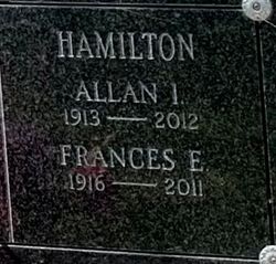 Allan I Hamilton 