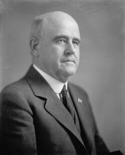 William Brown McKinley 