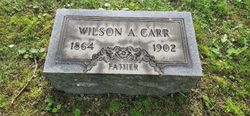 Wilson Alexander Carr 