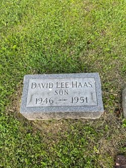 David Lee Haas 