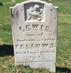 Lewis Fellows 