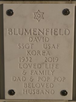 David Blumenfield 