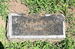 Lucy Ann <I>Donelson</I> Adams 