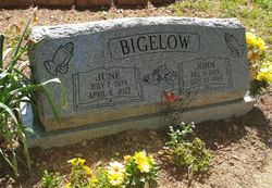 John D. Bigelow 