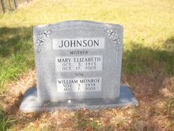 Mary Elizabeth <I>Jones</I> Johnson 