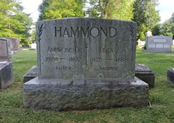 Eliza Jane <I>Hardesty</I> Hammond 