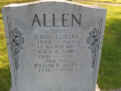 Albert E. Allen 