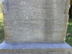 Ezra D. Palmer 