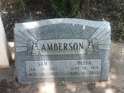 Sam H Amberson 