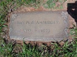 Lily May Amburgey 