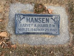 Harold W Hansen 