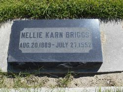 Nellie Alzadie <I>Karn</I> Briggs 
