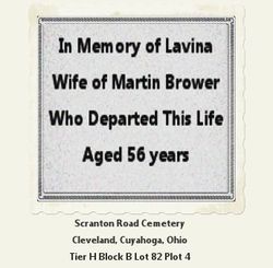 Lovina “Lavina” <I>Young</I> Brower 