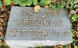 Friedman 