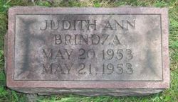 Judith Ann Brindza 