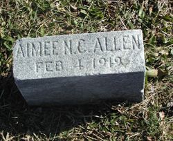 Aimee N Allen 