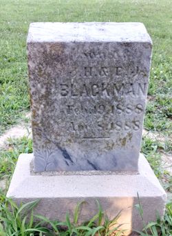 Ammon W. Blackman 